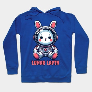 Astronomy rabbit Hoodie